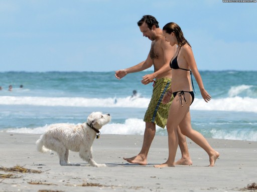 Olivia Wilde Celebrity Straight Sensual Cute Pretty Beautiful Hot Nice